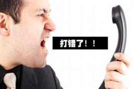 庆元债务清欠服务